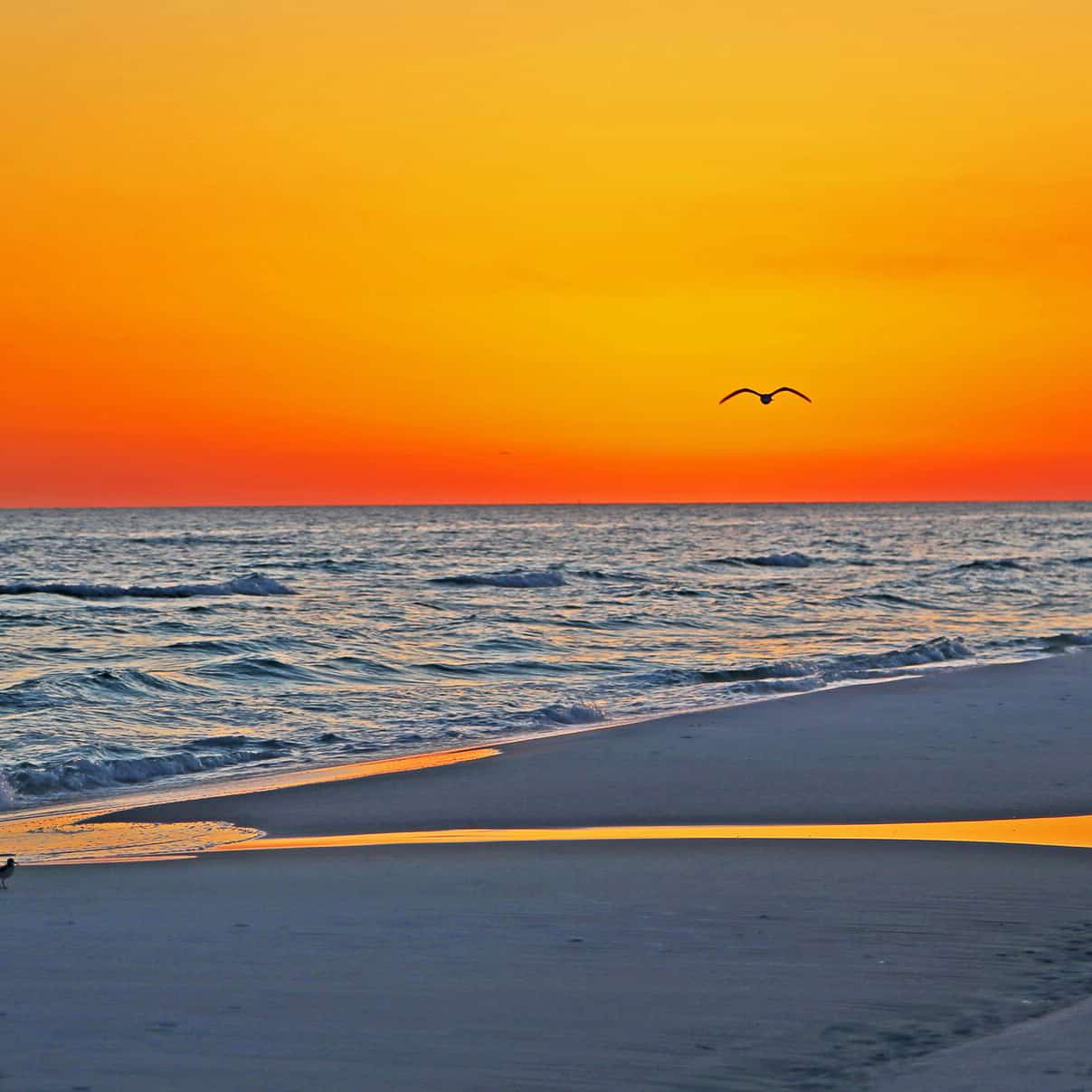 Sunset at the Club Sunset at the Henderson Beach Resort